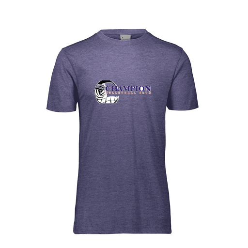 [FTSCUBRY-AS-LOGO1] Decker Men's Tri-Blend T-Shirt - Short Sleeve (Adult S, Royal, Logo 1)